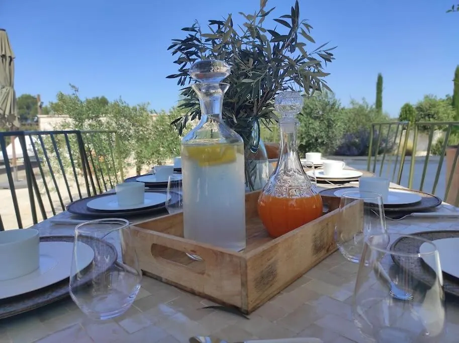 Magnifique Mas Contemporain Villa Fontvieille France